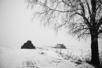Зимняя дорога. / Сельская дорога, начало зимы.