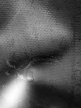 &nbsp; / Vision
