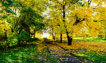 Лестница в небо / Карелия, Петрозаводск