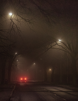На туманной улице / ....