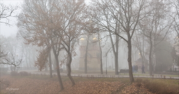 За тонкой вуалью тумана... / В Осеннем парке.