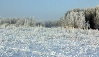 Серебро декабря / ***