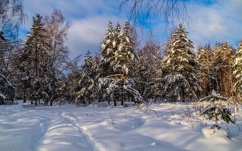 Морозное утро второго января # 03 / 02 января 2022 года. Восточное Подмосковье, Дрезна ..