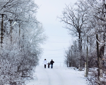 Прогулка... / Зима, сельская улица, молодая семья