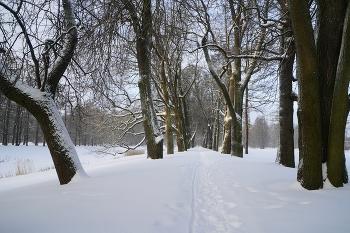 В зимнем парке / Екатеринский парк