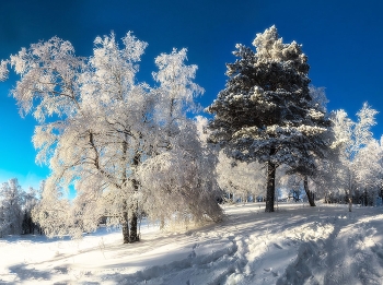 По тропе на хребет Москаль / Южный Урал