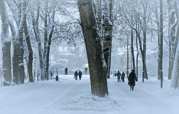 Зимняя туманность. / Туман в городском парке.