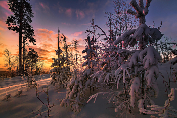 Утренние краски / Зимнее утро на Урале
