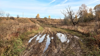 Осенний пейзаж в Зарайском районе (Московская область) / Осенний пейзаж в Зарайском районе (Московская область)