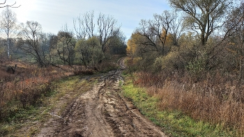 Осенний пейзаж в Зарайском районе (Московская область) / Осенний пейзаж в Зарайском районе (Московская область)