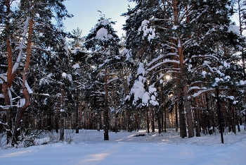 Устало солнце к вечеру. / " " "