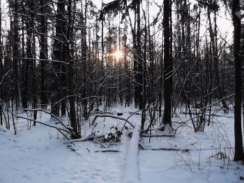 Зимнее солнце / Зимнее солнце