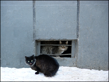 Свидание / Свидание
