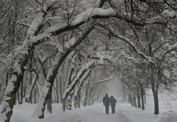 Москва - вся в снегу ! / Снегопад на моей улице...