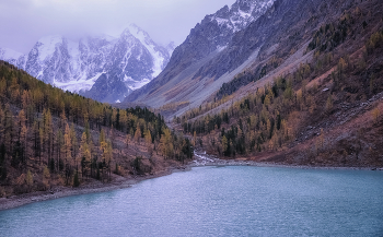 На пасмурный день в Алтае осенью / Горный Алтай, Северо - Чуйский хребет