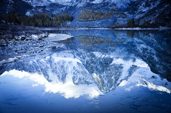 Отражение горы Красавица в озере Алтай / Горный Алтай, Северо - Чуйский хребет