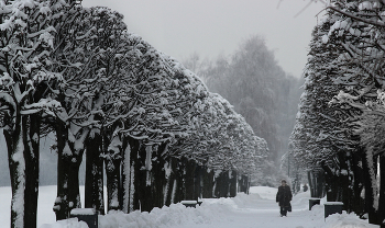 После московского снегопада... / В этом году Москва снегом засыпана...