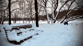 Пруд Садки / Заметелило, замело