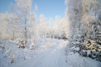 Природу нельзя застигнуть неряшливой и полураздетой, она всегда прекрасна. / Красноярский край