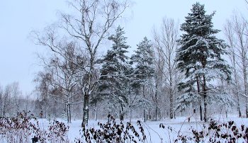 Зимний пейзаж! / Природа зимой