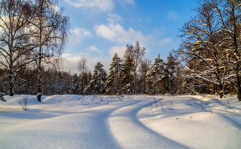 Морозное утро второго января # 11 / 02 января 2022 года. Восточное Подмосковье, Дрезна ..