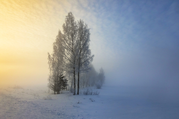 &nbsp; / Туманный февраль в Ленинградской области