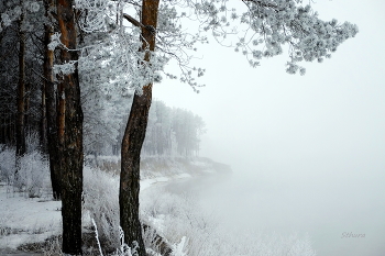 Туман. / На Оке.