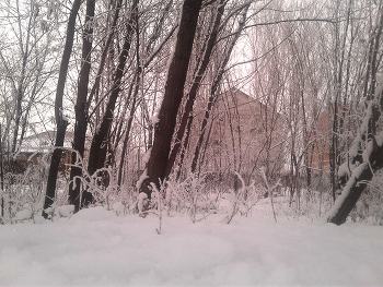 Лесопарк в селе / Сельские виды Астрахани