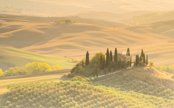 &nbsp; / Toscana