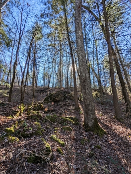 &nbsp; / Cumberland Mountain State Park, Crossville, TN