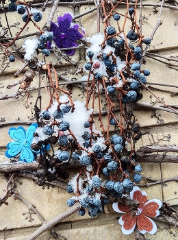 Зима... / И ягоды несъедобные и цветы ненастоящие... Фото: Краснодар, Краснодарский край, Россия. Дата: 14.02.2021