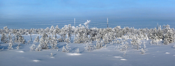 безмолвная морозная краса... / ХМАО-ЮГРА, февраль, северные болота