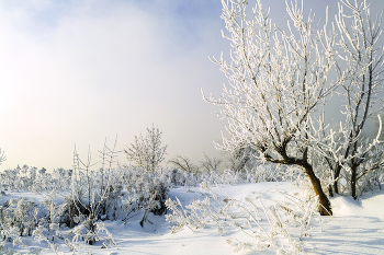 Хрустальная нежность / Зимние сюжеты