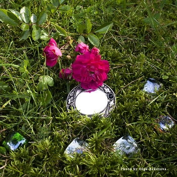 Феечкино зеркальце / роза, зеркальце