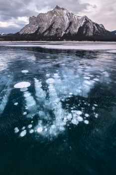 ПУЗЫРИ / Кластеры ледяных пузырей заполненных метаном. Озеро Абрахам, Канада