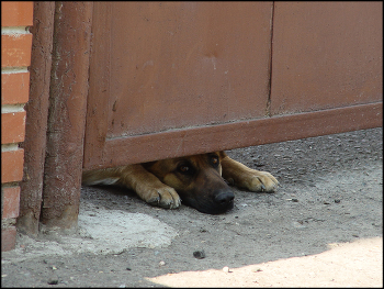 Точка Зрения / Точка Зрения