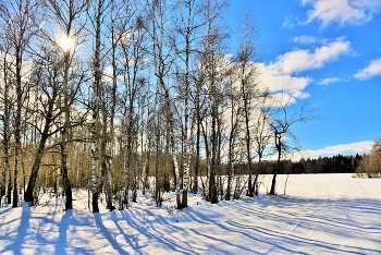 Последние деньки февраля ... / Февральский этюд ...