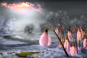 1-ое марта / 1-ое марта