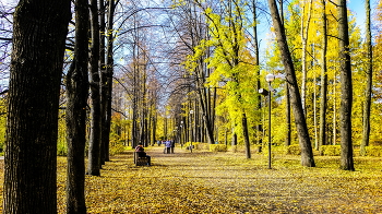 Осенний парк...листва...скамейка... / Петрозаводск, Карелия