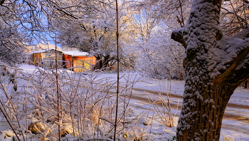 Снег и солнце / Красивый солнечный зимний день