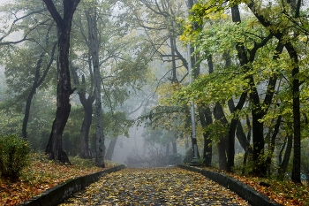 Листопад......... / Железноводск. Октябрь