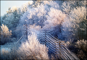 Утро / Утро