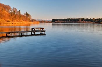 &nbsp; / am See