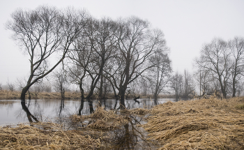 Март / Природа Беларуси