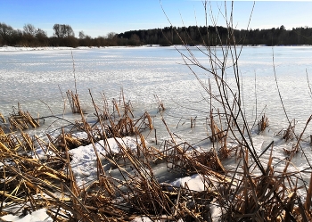 Весенняя... / Весеннее пробуждение озера...