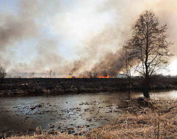 Человеческий фактор / Горит прошлогодняя трава