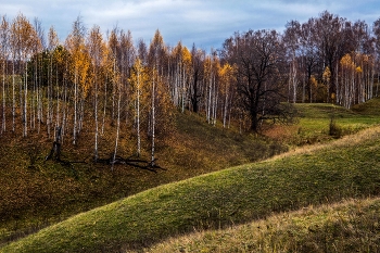 Октябрьский пейзаж / п.Новочувашский,Татарстан,Зеленодольский р-он