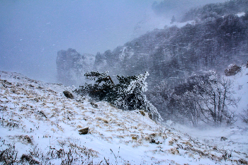 На зимних склонах Демирджи / Крым, Северный Демирджи.