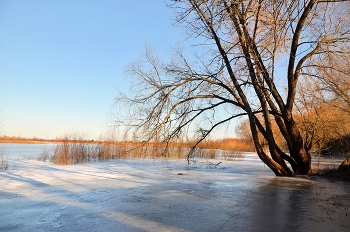 &nbsp; / затон Припяти