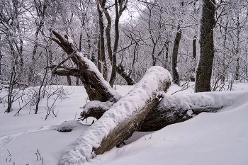 "Крик" / Крым. Эльх-Кая